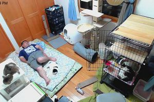 22時10分 ごろ