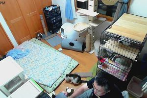 18時55分 ごろ