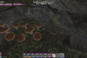 00時00分 ごろ