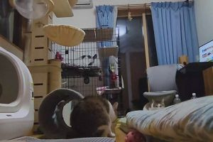 18時50分 ごろ