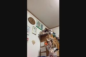 05時55分 ごろ