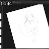 14時40分 ごろ