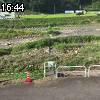 16時40分 ごろ