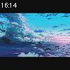 16時10分 ごろ