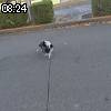 08時20分 ごろ