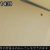 14時35分 ごろ