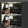 11時00分 ごろ