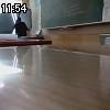11時50分 ごろ