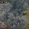 11時20分 ごろ