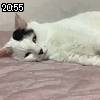 20時55分 ごろ