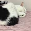21時15分 ごろ