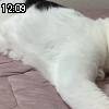 12時05分 ごろ