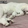17時10分 ごろ