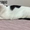 13時15分 ごろ