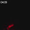 04時05分 ごろ