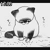 17時05分 ごろ