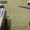 19時15分 ごろ