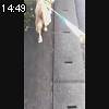 14時45分 ごろ