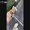 17時40分 ごろ