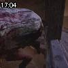 17時00分 ごろ