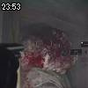 23時50分 ごろ