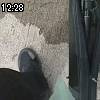 12時25分 ごろ