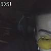 23時20分 ごろ