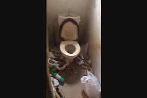 16時20分 ごろ