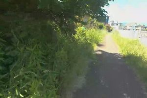 11時50分 ごろ