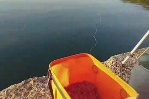 18時15分 ごろ