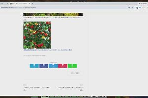 17時55分 ごろ
