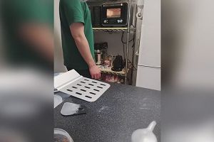 19時50分 ごろ