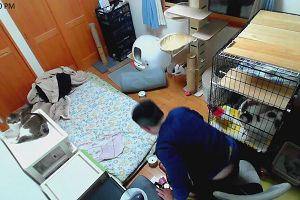 22時15分 ごろ