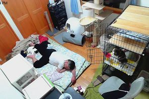 22時15分 ごろ