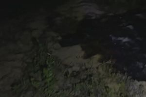 19時30分 ごろ
