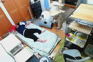 00時50分 ごろ