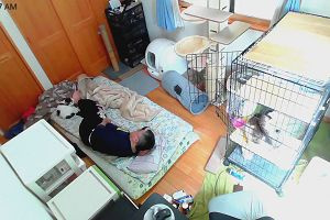 10時40分 ごろ