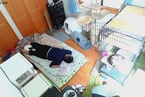 11時20分 ごろ