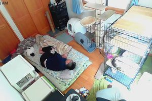 11時55分 ごろ