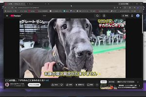 23時00分 ごろ