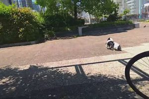 11時25分 ごろ