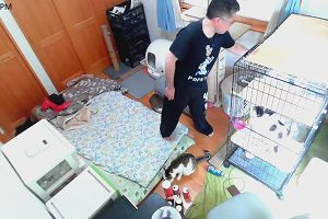 16時15分 ごろ