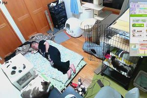 22時45分 ごろ