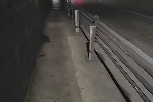 10時20分 ごろ
