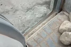 13時05分 ごろ