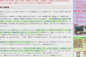 16時55分 ごろ