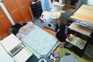 19時55分 ごろ