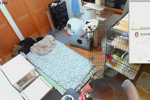 22時25分 ごろ