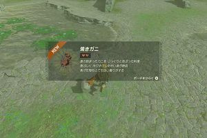 08時45分 ごろ