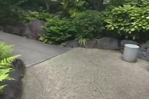 10時30分 ごろ
